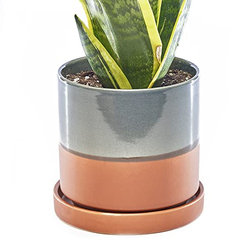 Chive, 12,7 cm Big Minute, Sukkulenten, Kaktustopf und Untertasse, Keramik-Blumen- Pflanzgefäß mit Drainageloch abnehmbarem Untersetzer, ideal für Innen- Außenbereich, Gartendekoration (Terrakotta)