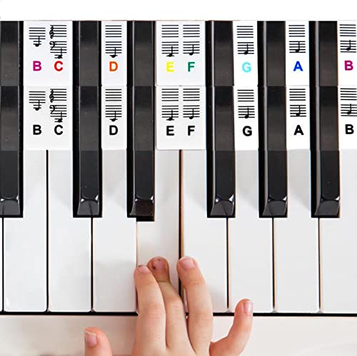 Piano Notes Guide for Beginner, Removable Piano Keyboard Note Labels for Learning, 88-Key Full Size, Made of Silicone, No Need Stickers, Reusable and Comes with Box, Colorful