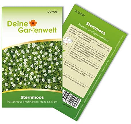 Sternmoos Mastkraut Plattenmoos Samen - Sagina subulata - Sternmoossamen - Saatgut für 400 Pflanzen