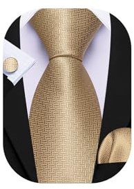 Barry.Wang Men Formal Ties Silk Champagne Necktie Solid Handkerchief Cufflinks Set Wedding Christmas