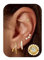 LOLIAS 4 Paar Ohrringe Silber 925 Set für Damen 14 Karat Vergoldet Kleine Ohrstecker Trendige Gold Creolen minimalistischer CZ Diamant hypoallergener Ohrstecker für mehrere Piercings