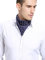 Prettystern Herren 100% Seide Bandana Nickituch Trachten-halstuch Seiden-Halstuch Sommer Seiden-Tuch Blätter Weiß Blau 8.