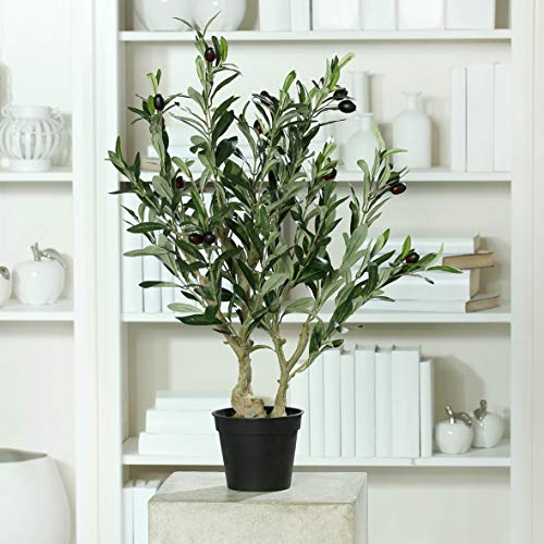 mucplants Künstlicher Olivenbaum mit ca. 14 schwarzen Oliven im schwarzen Topf Höhe 65cm Topfpflanze Kunstpflanze Olive