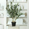 mucplants Künstlicher Olivenbaum mit ca. 14 schwarzen Oliven im schwarzen Topf Höhe 65cm Topfpflanze Kunstpflanze Olive