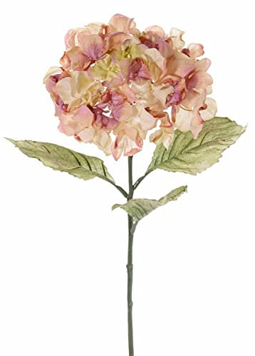 artplants.de Ortensia Artificiale Urania, Rosa Antico, 75cm, Ø18cm - Ortensie Artificiali