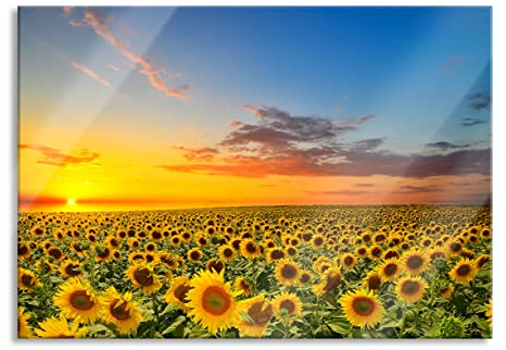 Pixxprint Glasbild, Wandbild aus Echtglas, Sonnenuntergang Sonnenblumen, 60x40 cm, inkl. Aufhängung und Abstandshalter