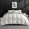 APSMILE Daunendecke 240x260 Ganzjahresdecke Bettdecke mit Gänsedaunen und Federn, Medium Warm Übergangsdecke, Natur Duvet für Doppelbett, Federbettdecke ohne Lebendrupf, Weiß