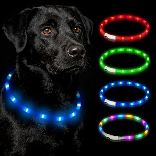 HOTUT Leuchthalsband Hund USB Aufladbar,LED Hundehalsband Leuchtend Wasserdicht mit 3 Beleuchtungsmodi,Verstellbarer Länge,LED Hunde Halsband wiederaufladbar für Kleine,Mittlere,Große Hunde(Blau)