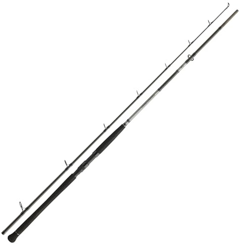 Daiwa Powermesh Catfish Boje Welsrute Wallerrute (3,00m / 150-400g)