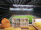 Fototapete aus Vinyl und Vliestapete, Motiv: Fußballstadion | Wandtapete | Wandtapete | Dekoration für Esszimmer, Wohnzimmer, Schlafzimmer ... 600x300cm