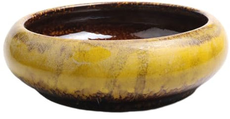 vreplrse Grande Ciotola Rotonda per fioriera succosa Creativa per Fiori da Interno ed Esterno Ceramica Vaso Bonsai smaltato in Ceramica Vintage, Giallo