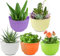 BSTMOME Wall Hanging Planter Pot Vertical Garden Living Wall Mount Window Hang Indoor Outdoor Plant Flower Basket for Kitchen Herb Balcony Railing Shelf Fence Bedroom Trellis Decor (5 Colors)