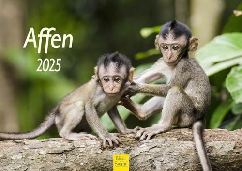 Edition Seidel Premium Kalender Affen 2025 Format DIN A3 Wandkalender Tierkalender Afrika Affe Gorilla Lemur Schimpanse Primaten Regenwald Wildtier Waldtier