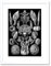 Wee Blue Coo Haeckel Plate 57 Barnacles Artwork Framed Wall Art Print 9X7 Inch Teller Wand