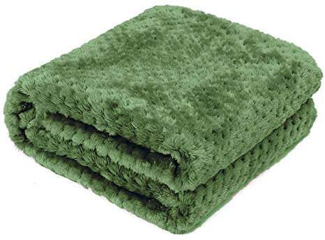 AcserGery Flauschige Hundedecke 100x120cm Super Softe Warme und Weiche Decke für Haustier Hundedecke Katzendecke (Grün)