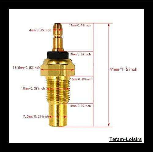 TERAM LOISIRS - Termostato compatibile per sonda temperatura e termosifone: Kawasaki