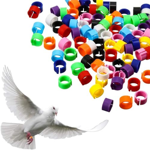 OQKAHIV 100stk 8mm Multikolor Clip-On Vogelbeinringe, keine Zahlen, Taubenfußringe aus Kunststoff für Identifikation und Öffnungserkennung von Küken, Tauben und Papageien - zufällige Farbauswahl