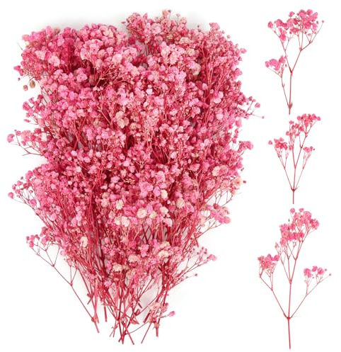 100 Stück Schleierkraut Getrocknet, Trockenblumen Schleierkraut, Trockenblumen zum Basteln, Getrocknete Blumen Klein für DIY Fotorahmen, Lesezeichen, Grußkarten (Dark Pink)