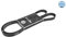 Meyle 050 006 1623 EPDM Keilrippenriemen, 1623mm Länge