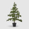 EDG Enzo De Gasperi Enzo De Gasperi Albero di Natale Pino West con Vaso H 94 Cm