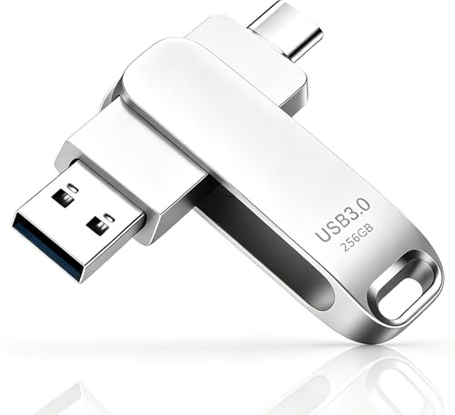 Memoria USB C 256GB, Pendrive Doble USB 3.0 Tipo C y OTG 2 en 1 Portátil Resistente Cuerpo Metálico Gran Capacidad Almacenamiento Externo para iOS Teléfonos, Ordenador, Tableta