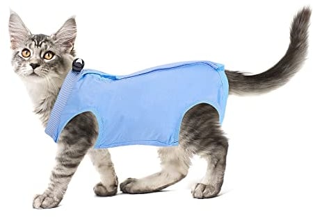 cobee Professioneller Genesungsanzug für Katzen bei Bauchwunden oder Hautkrankheiten, Kätzchen, Chirurgie, Genesungsanzug, E-Halsband-Alternative für Katzen und Hunde, nach Operationen (Größe L, blau)