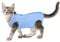 cobee Professioneller Genesungsanzug für Katzen bei Bauchwunden oder Hautkrankheiten, Kätzchen, Chirurgie, Genesungsanzug, E-Halsband-Alternative für Katzen und Hunde, nach Operationen (Größe L, blau)