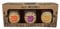 Fruits of the Forage Wild Preserves Cheeseboard Pack, Includes Quince Preserve, Fig & Plum Chutney and Cider & Onion Chutney. Pack of 3 Glass Jars (210g x 205g x 200g)