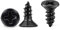 100 PCS Vis Inox 18-8 A2 Tête Fraisée Cruciforme PH Ø 4 x 12 mm noire Vis Autotaraudeuses, Inoxydable Oxyde Noir Bricolage Vis à Bois M4