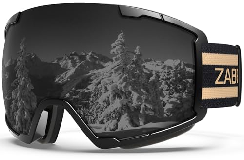 ZABERT Skibrille für Herren Damen Frauen Erwachsene Männer Kinder 10 11 12 13 Jahre, Brillenträger Ski Snowboard Brille Schneebrille Snowboardbrille, Schwarz Grau v3