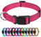 TagME Collare per Cani in Nylon Riflettente, Fibbia Staccabile Durevole, Collari Di Sicurezza Regolabili per Cani Di Piccola Taglia, Rosa Caldo, Larghezza 1.5 cm