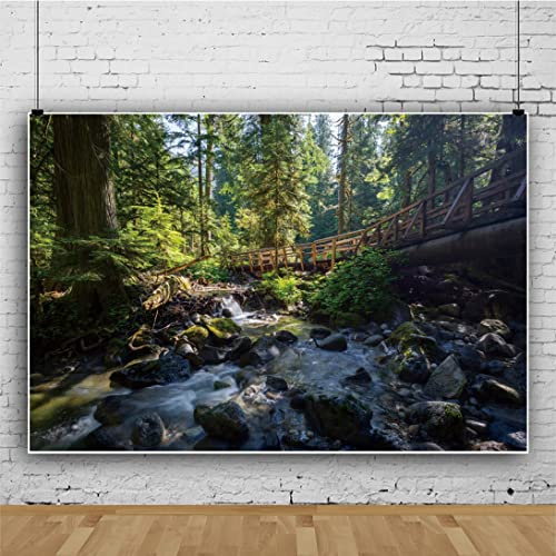 Ttincceer 300x250cm 3D Forests Backdrop Spring Summer Tropical Rainforests Natural Landscape Photography Background Stream Stone Giant Tree Adult Children Travel Background
