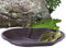 HunicandIU Vasca da bagno per tartarughe, grande ciotola per l'acqua con tubo di scarico, design a foro rotondo, anfibi, animali, tartarughe