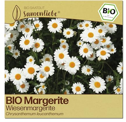 Samenliebe BIO Margeriten Samen | Wiesenmargerite - winterhart & mehrjährig - samenfestes BIO Saatgut