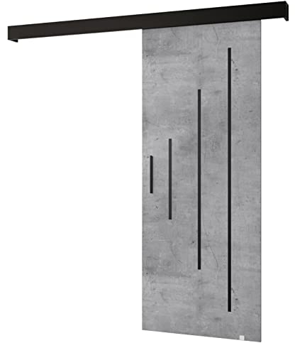 MEBLE KRYSPOL Salwador Y Schiebetürsystem mit Schienenabdeckung - Zierstreifen - Wandschiebetüren für Innenräume - Loftartige Einbautüren - Solide Konstruktion - 90 x 204 cm - Beton
