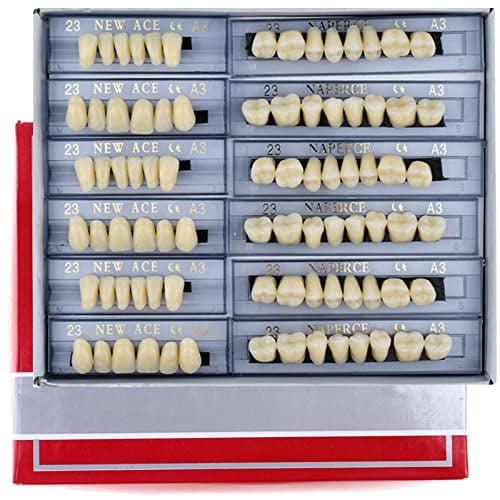168 Stück falsche Zähne Dental Komplette Acrylharz Zahnprothesenzähne, 23 Farbtöne A3 Obermaterial+untere Zahnmaterialien für Ersatz, DIY oder Halloween