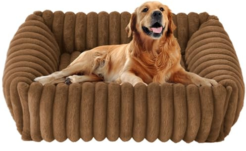 CIGAA Hundebett für kleine und mittelgroße, 63x53x18cm Waschbares Hundekorb rutschfest Hunde bettchen mit Hohem Rand, Braun
