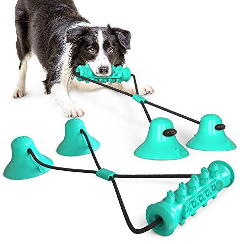 HUOQILIN Giocattoli per I Cani Piccoli,Pet Palla per Cani con Ventosa,con Corda Elastica,per Pavimenti in Legno,Piastrelle,Pareti,Blue