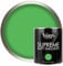 Vintro | Luxury Matt Emulsion | Bright Green | Smooth Chalky Finish | Multi Surface Paint | for Walls, Ceilings, Wood and Metal | 1L (Bright Green - Rainforest)