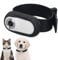Goshyda Pet Collar Camera, HD 1080P Cat Collar Camera Dog Collar Camera with 120° Wide Angle, Mini Action Camera for Video Records, for Mountain Biking Pets Traveling (White)
