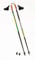 Swix CT4 Nordic Walking Stock Lime Carbon Tech mit Just Go Sport Spitze 1 Paar 115cm