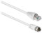 T'nB - Câble RJ45 : Fiche-F M/M 2 Mètres - Blanc
