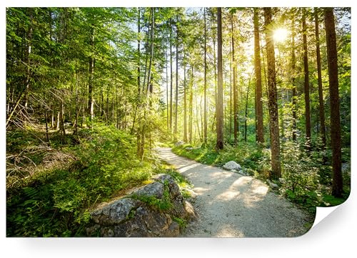 Fototapete Wald Grün Premium Vlies - Vliestapete Tapete Wandtapete Motivtapeten Vliestapeten Wohnzimmer Schlafzimmer moderne Wand Bildtapete Landschaft Natur Baum 315 x 210 cm