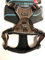 Petlando Mesh Outdoor-Hundebrustgeschirr mit reflektierenden Streifen XS Mokka Brustumfang 38-46 cm