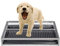 Alfombrilla de entrenamiento lavable para perros, reutilizable, con bandeja de malla para interiores y exteriores, solución de caja de arena