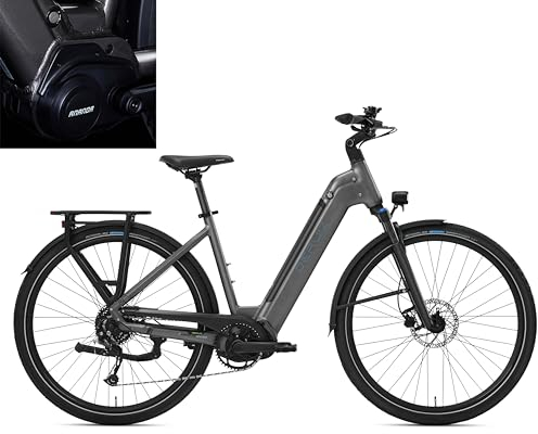 DERUIZ E Bike 28 Zoll Mittelmotor Elektrofahrrad, 250W 80Nm E-Bike, 48V 13.4Ah Lithium-Akku, 9 Gänge ebike, cityräder 25 km/h bis zu 120 km