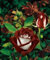 50 semi Abracadabra Rosa, colore raro, Osiria Rose splendido fiore. l'amante è aumentato di semi bonsai piantare le rose.
