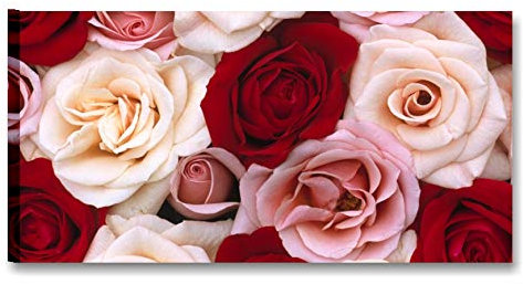 Quadri L&C ITALIA Rose - Quadro Moderno con Fiori per Soggiorno Rosso Camera da Letto 90 x 45 Stampa su Tela da Parete