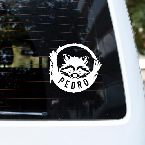 Autoaufkleber, Pedro Tiktok Star, Waschbär Aufkleber, Fenster Sticker (Weiß)