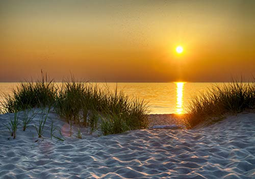 Forwall - Vlies Fototapete Sonnenuntergang Strand Meer Nordsee Natur Dünen 368x254 cm - Fototapeten - Tapeten - für Wohnzimmer Schlafzimmer - Vliestapete Wandtapete Tapete 3D Effekt- inkl. Kleister